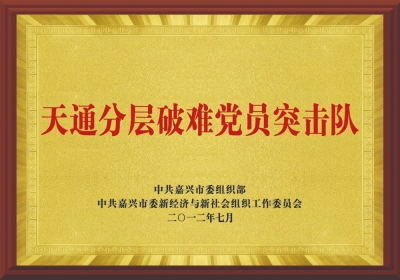 “天通分層破難黨員突擊隊”